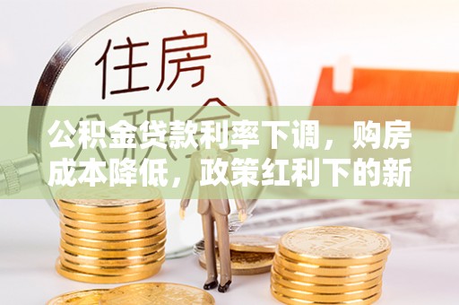 金普新区公积金贷款利率下调，购房成本降低，政策红利下的新机遇